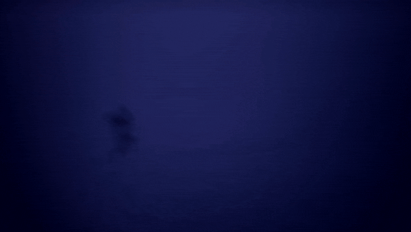 Final_MesuFX-ezgif.com-optimize